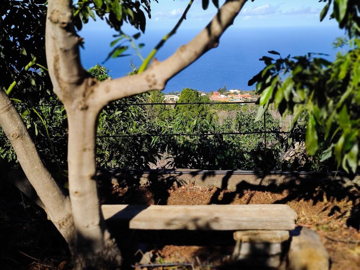 La Casa De La Cartita Villa Puntagorda Eksteriør billede