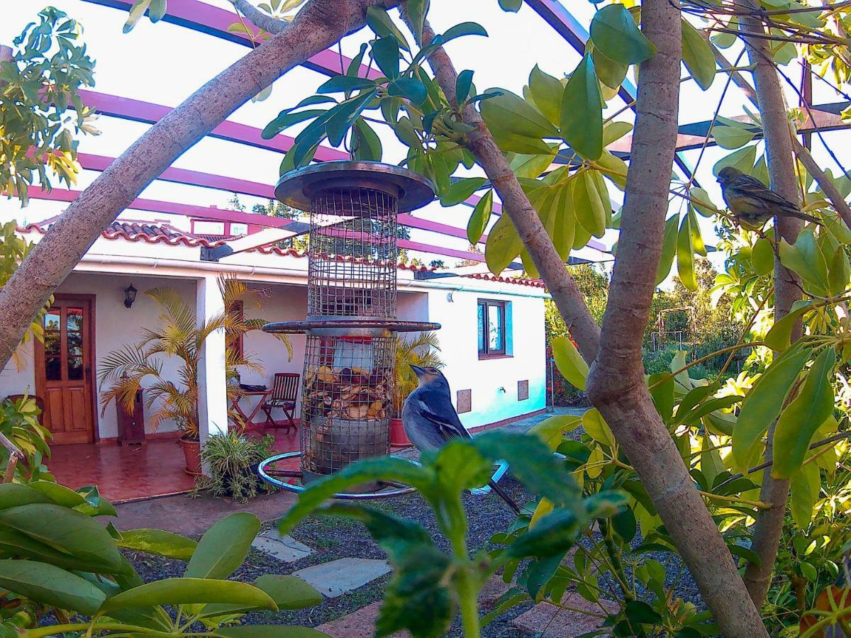 La Casa De La Cartita Villa Puntagorda Eksteriør billede